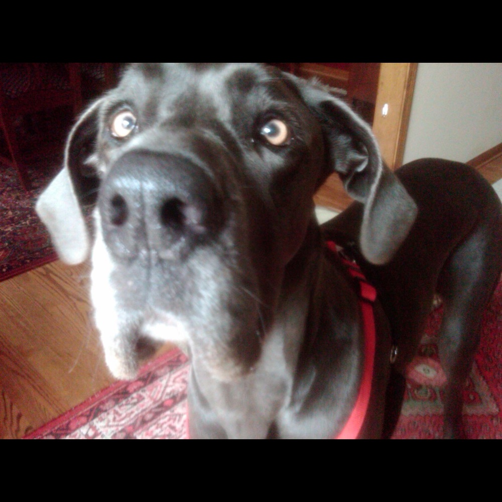 Meet your Posher, Kathy